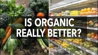 What Is Organic Food — And Is It Really Better?