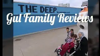The Deep Hull Aquarium UK The Gul Family Reviews
