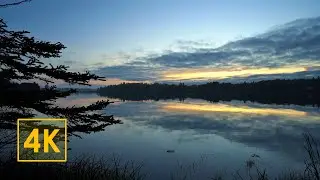 Relaxing summer sunset in Maine, peaceful seascape with nature sounds (4K, UHD), Zeiss Batis Sony A7