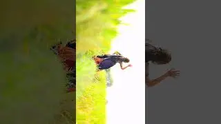 Nature Love🌾🕊 | Anuuh | Saivenky | #nature #naturelovers #agriculture #teluguammayi #cinematography