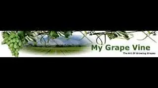 Grape Growing System & How To Grow Grapes Review + Bonus