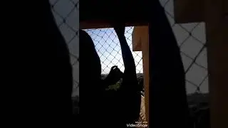 TELAS DE PROTE&Ccedil;&Atilde;O(9)
