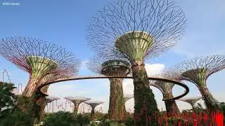 The Five Most Important Blue Chips In The Straits Times Index