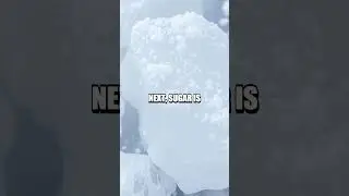 Amazing Ice Melting Experiment