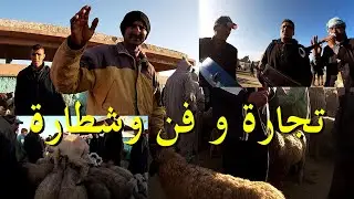 بعض اسعار المواشي سوق السبت بئر النصر