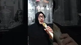 SEROJA -SAID EFFENDI COVER (Suherlina Elin)