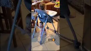 #Don't Miss the end#bahubali#babylove #cutebaby #shorts #creativecovers#
