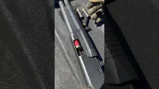 Oddly satisfying shooting process #9mm #223 #12gauge #pistol #rifle #viral #shooting #shorts