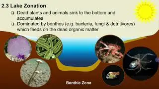 Ecology 2.3