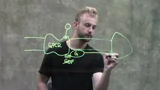 GPCR