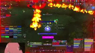 Netherwing WOW TBC / Wasted Potential EU Guild First Kill on Archimonde . BM hunter POV