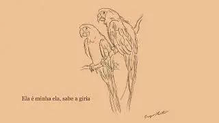 Fly Love (Ararinha) - Enzo Martin ft. Tirzzer (lyrics)