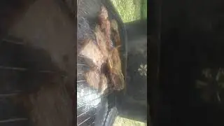 I am Master of all meats