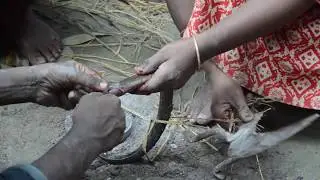 Bengal eel Fish Cutting Skill video 2019