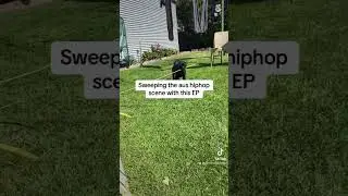 Low low #lowlow #ausrap #rapper #puppy #labrador #aushiphop