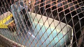 StrongArm&trade; SVR303 Water Submersion Test