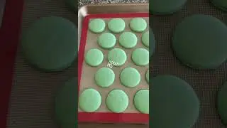 Mint Chocolate Macarons