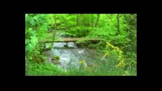m&uacute;sica para relaxar e meditar com sons de riachos