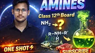 12th Amine One shot