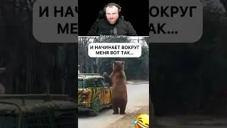 Петренто медведь #петренто #petrento #приколы #прикол #мем #реакция #мемы #memes #юмор #funny