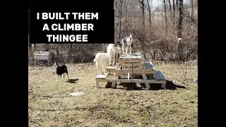 Climber thingee