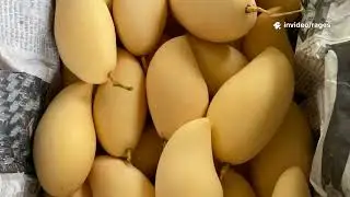 Thyroid-Friendly Fruits and Foods: What to Eat and Avoid! 🥝🍎🥦❌🍩