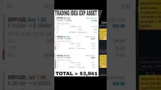 Exp Asset Results From Twin Trading Strategy