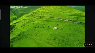 መንፈስን የሚያድስ ክላሲካል ከድንቅ ተፈጥሮ መልካምድራዊ ቅንብር ጋር