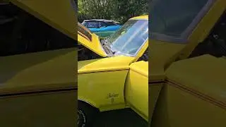 Amazing Oldsmobile Rallye 350 Lot 6S