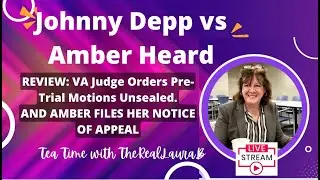 Depp v Heard What Are the Documents the Judge Unsealed
