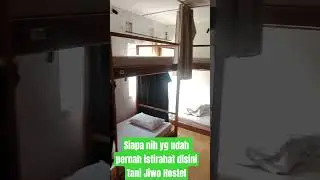Tani Jiwo Hostel #hotel #dieng #penginapandieng #homstey #reels #music #remix #fyp #fy