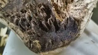 Ping sar mal dekho idia koro koto oito dam ik agorwad