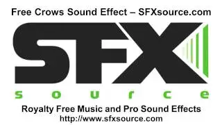 Free Crows Sound Effect - SFXsource