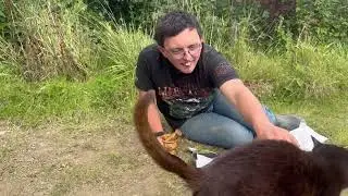 Making Acorn Coffee ￼￼#glutenfree #vegan #ideas #cats #cooking #like #wow #adventurous #coffee