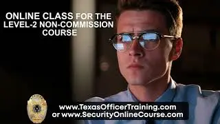 Security Training Texas  Level-2 Non-Commission online