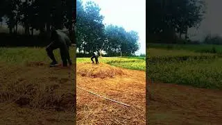 #highjump #fitness #r,4 feet high jump #tigerjump
