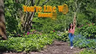 You're Like Wow-.Lyrics.-Romaro