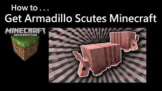 How To Get Armadillo Scutes Minecraft Java