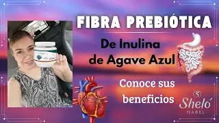 Fibra Prebi&oacute;tica de inulina de agave azul | Shel&oacute; Nabel | Conoce sus beneficios
