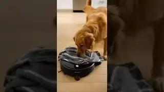 Roomba vs dog poo and who will win? #shorts #sora #ai #dog #funny