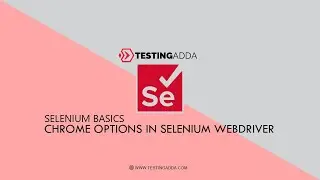 Essential Chrome Options in Selenium WebDriver | Automate with Selenium