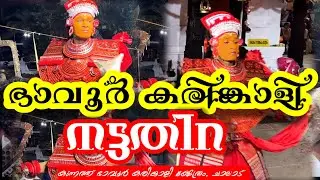 ഭാവൂർ കരിങ്കാളി നട്ടതിറ | Bhavoor Karinkali Nattathira| #theyyamkannur #theyyam 