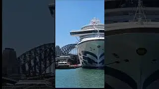 Sydeny Trip January 2026 #travel #cruiseship #sydney #circularquay #ride #fyp #lunapark
