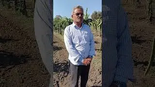 ड्रैगन फूड किस से चर्चा करते हुए
