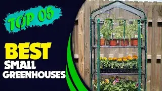 🌱 Лучшие небольшие теплицы 2022 года &mdash; популярные и эксклюзивные товары!