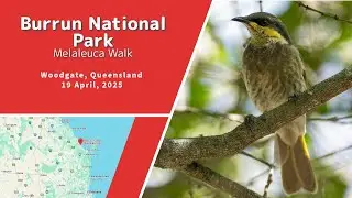 Burrum National Park, Woodgate, Queensland