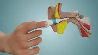 EarBuddy how it works (earwax simulation)