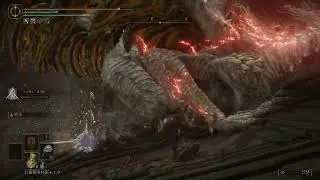 [Elden Ring] Crumbling Beast Grave Depths Dragon fight (no cheese melee only) 渐毁野兽墓（深处）古龙 失色古龙岩锻造石