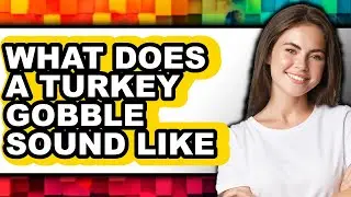 What Does a Turkey Gobble Sound Like - Answered