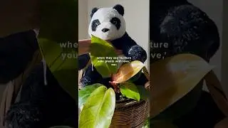 Nurture Your Plants with Love They Said... And Me! 🐼 | Philodendron's New Leaf Joy 🌿💚 #plants